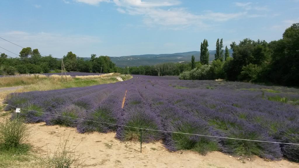Residence Les Rossignols Roussillon en Isere Exterior foto